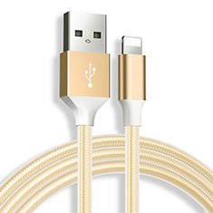 Cavo da USB a Cavetto Ricarica Carica D04 per Apple iPad 10.2 (2020) Oro