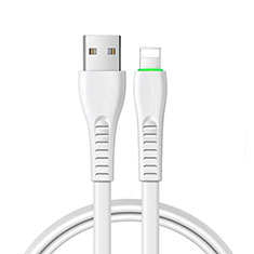 Cavo da USB a Cavetto Ricarica Carica D20 per Apple iPad Air 2 Bianco