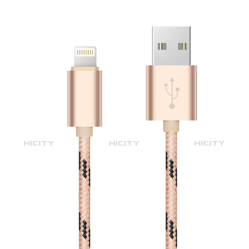 Cavo da USB a Cavetto Ricarica Carica L10 per Apple iPad 10.2 (2020) Oro