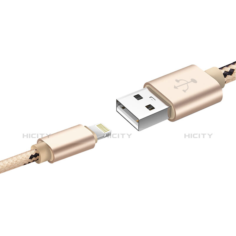 Cavo da USB a Cavetto Ricarica Carica L10 per Apple iPad 10.2 (2020) Oro