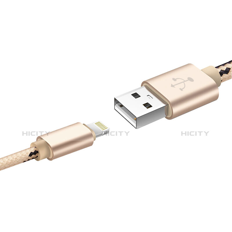 Cavo da USB a Cavetto Ricarica Carica L10 per Apple iPad Air 2 Oro