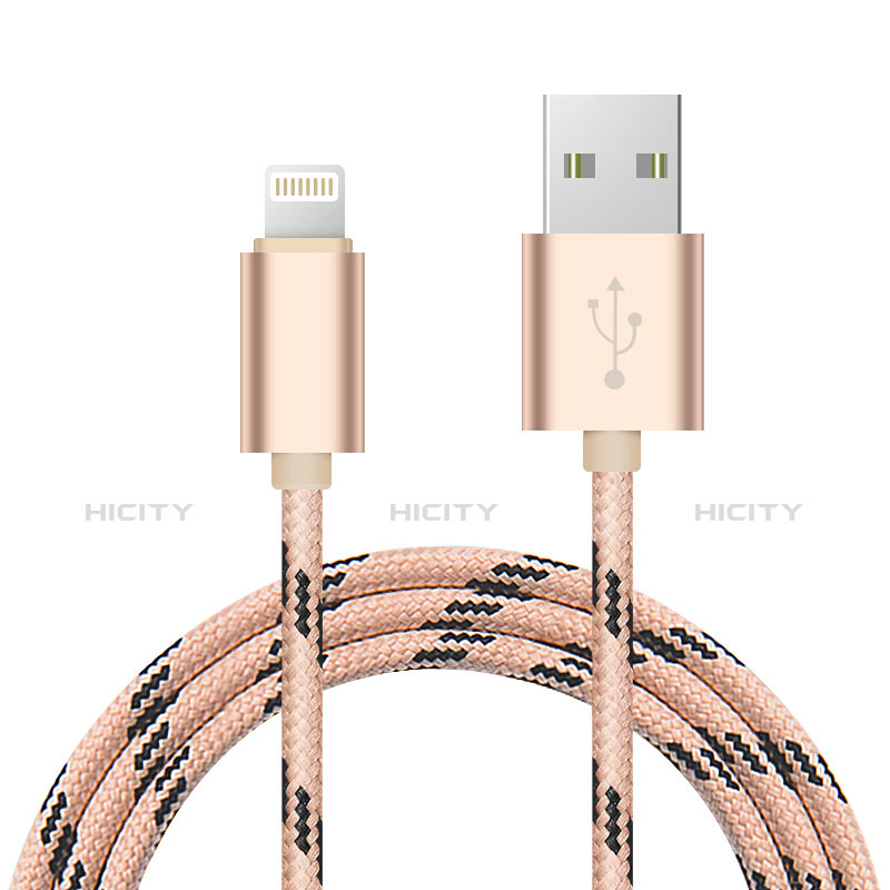 Cavo da USB a Cavetto Ricarica Carica L10 per Apple iPad Mini 2 Oro