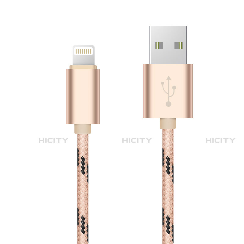 Cavo da USB a Cavetto Ricarica Carica L10 per Apple iPhone 12 Max Oro