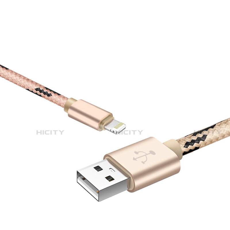 Cavo da USB a Cavetto Ricarica Carica L10 per Apple iPhone 13 Pro Max Oro