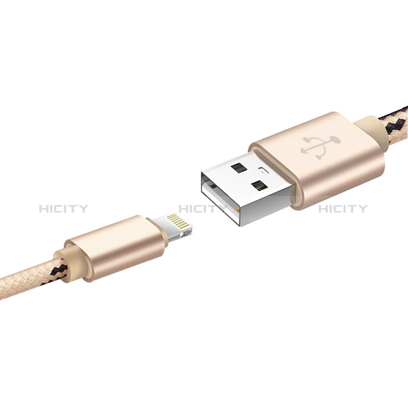 Cavo da USB a Cavetto Ricarica Carica L10 per Apple New iPad 9.7 (2017) Oro